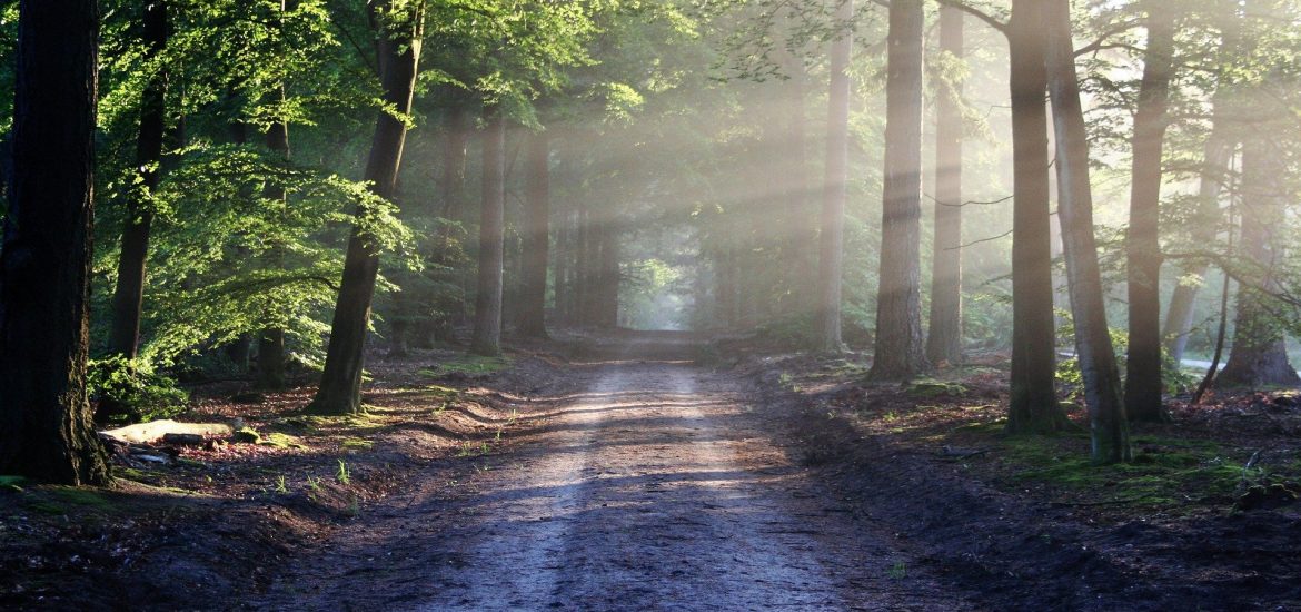 How to reduce anxiety