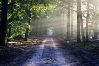 How to reduce anxiety